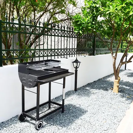 Apartment Aegean Dreams Palio PalaiónTsiflíkion